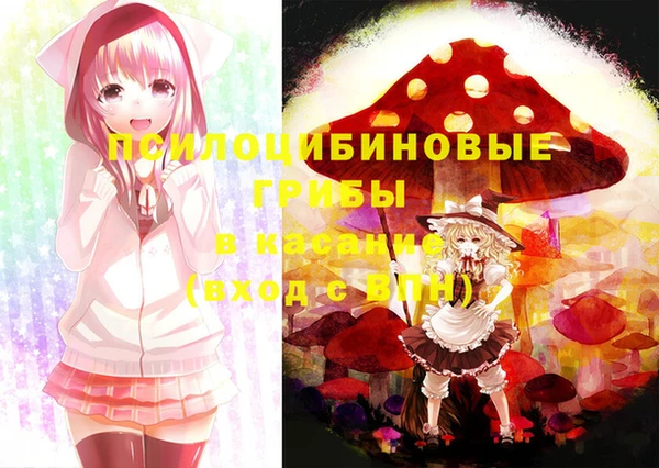 не бодяженный Аркадак